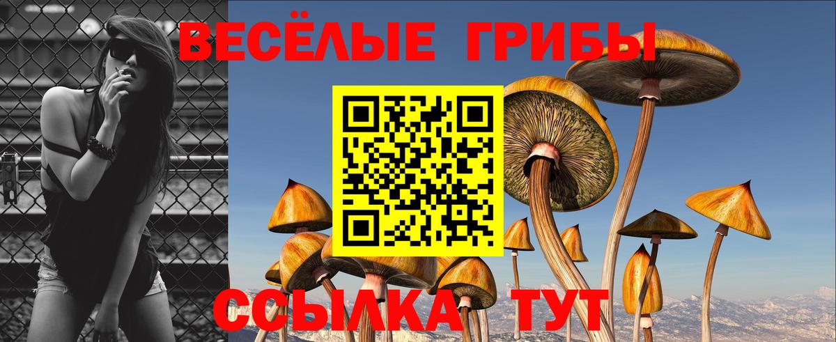 Псилоцибиновые грибы MAGIC MUSHROOMS  Вход с VPN  Волоколамск 
