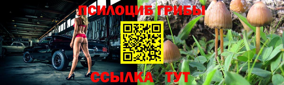 Псилоцибиновые грибы ЛСД Волоколамск